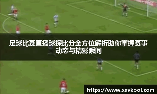 美嘉体育平台
