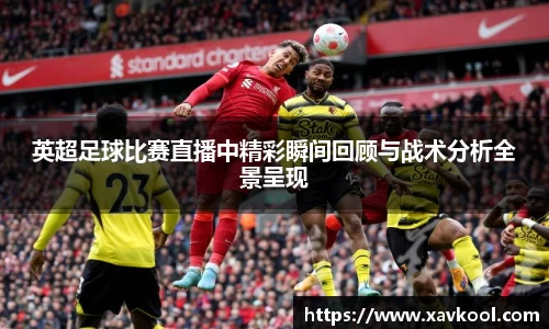 美嘉体育官网