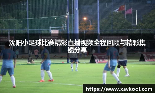 美嘉体育下载