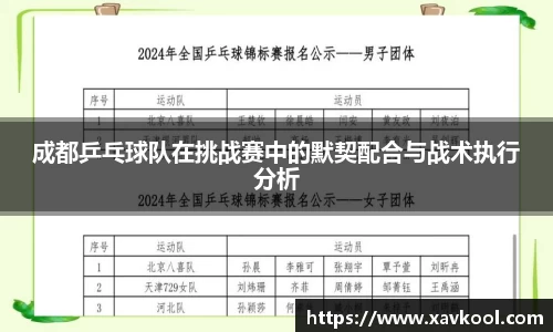 成都乒乓球队在挑战赛中的默契配合与战术执行分析