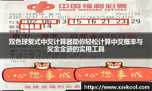 双色球复式中奖计算器助你轻松计算中奖概率与奖金金额的实用工具